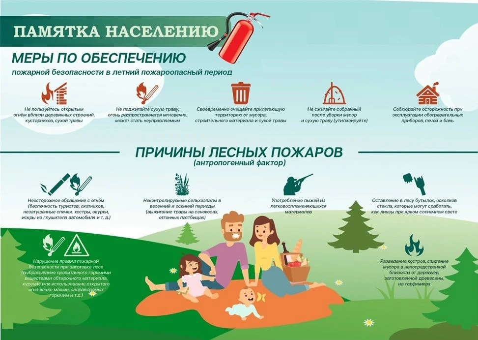 Основной причиной лесных пожаров нередко является небрежность человека при пользовании ...
