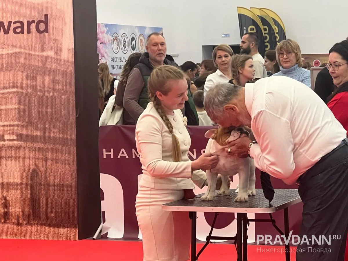 На Нижегородской ярмарке работает «Зоомир»: более 3500 животных и 200 пород