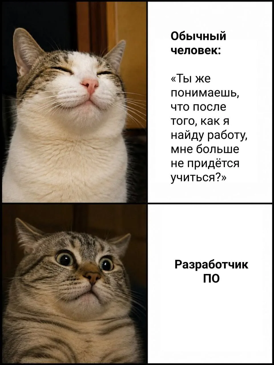 MAXимально на связи