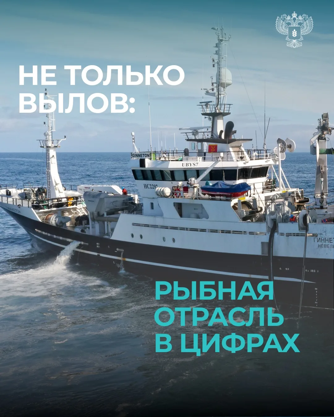 🎣 Ко Дню рыбака: несколько фактов о современной рыбной отрасли России