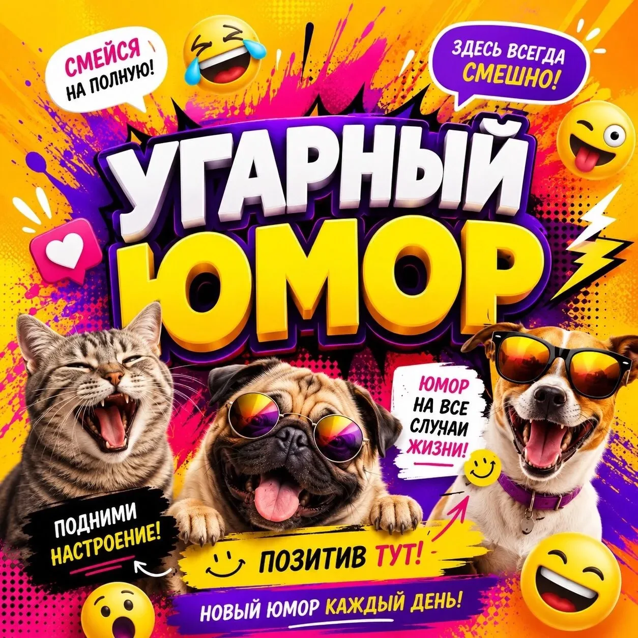 Всё самое смешное и интересное для вас. Смешные видео, фотографии, мемы и ситуации. Буд...