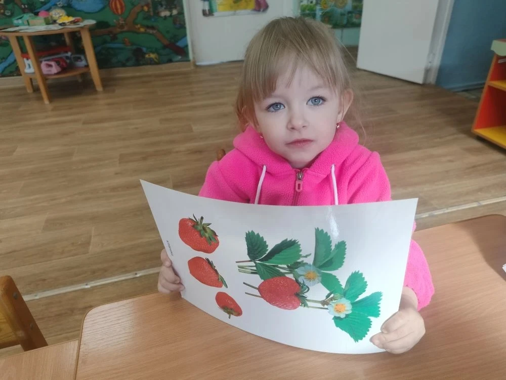 🥑🍓🥦Сегодня, 3 июня, в нашем детском саду прошёл День здорового образа жизни под назв...