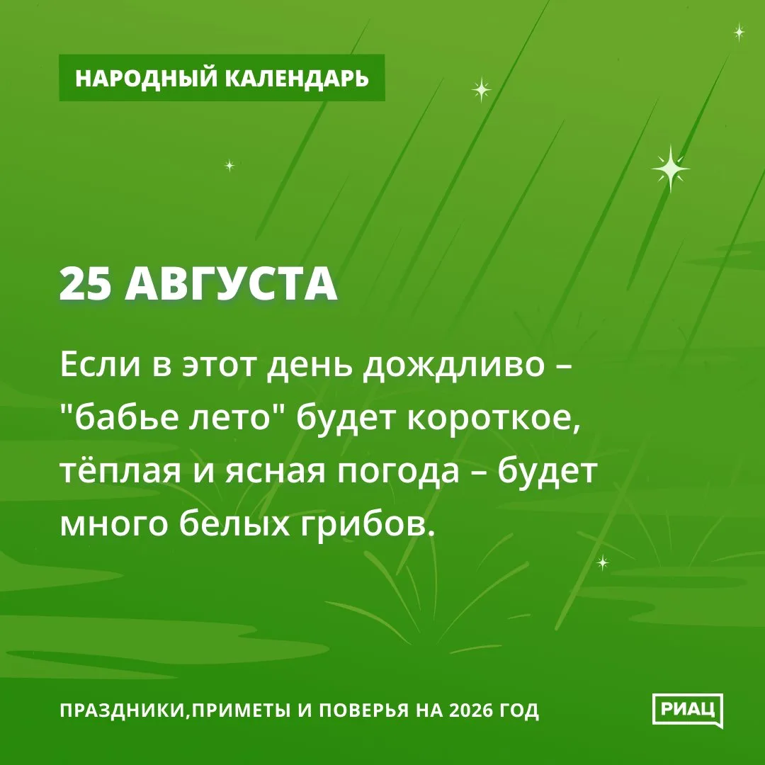 🍄 Ясная погода сегодня - к урожаю грибов.