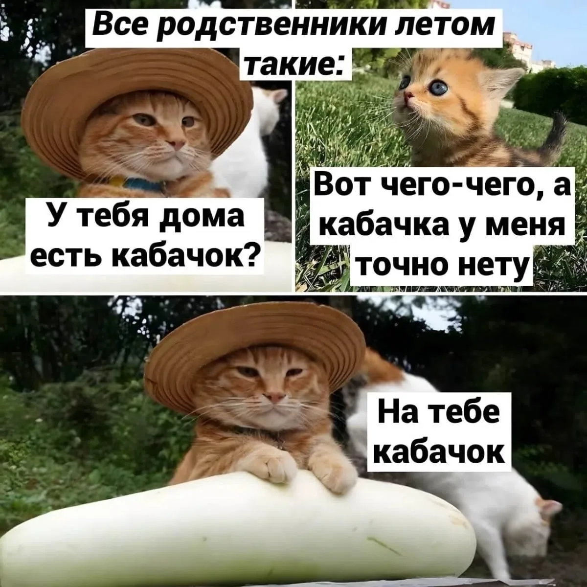 Кабачок помогает выглядеть моложе на 5–7 лет — диетологи 🥒