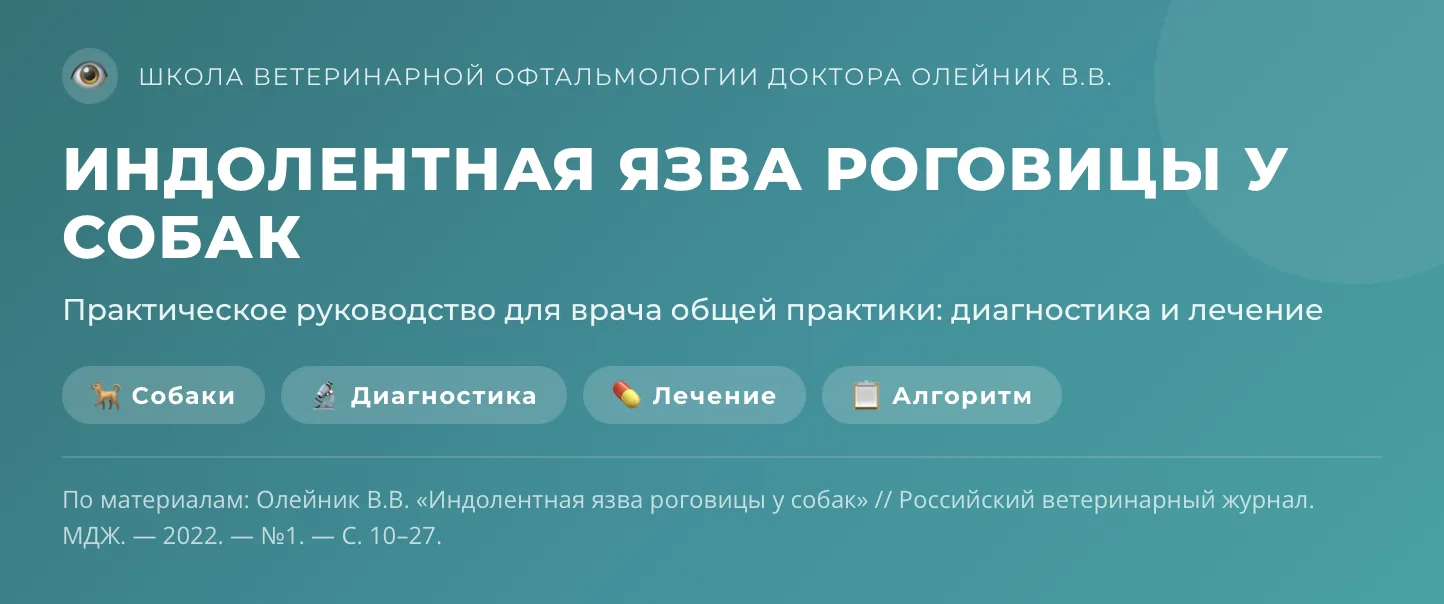 Статья: индолентная язва роговицы

Индолентная язва роговицы — одна из самых частых причин, почему г