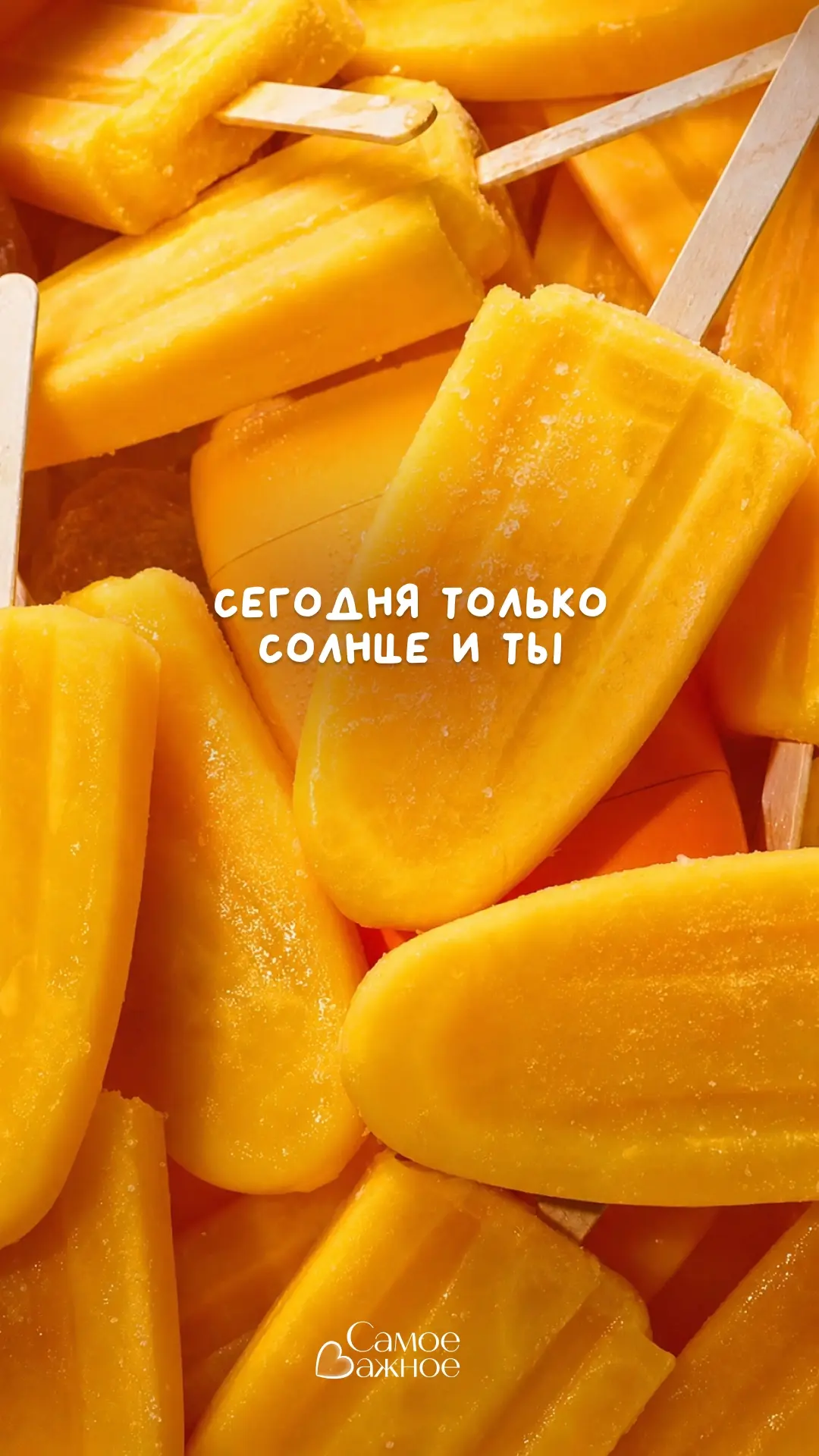 Согреваемся под лучами августа 🤗