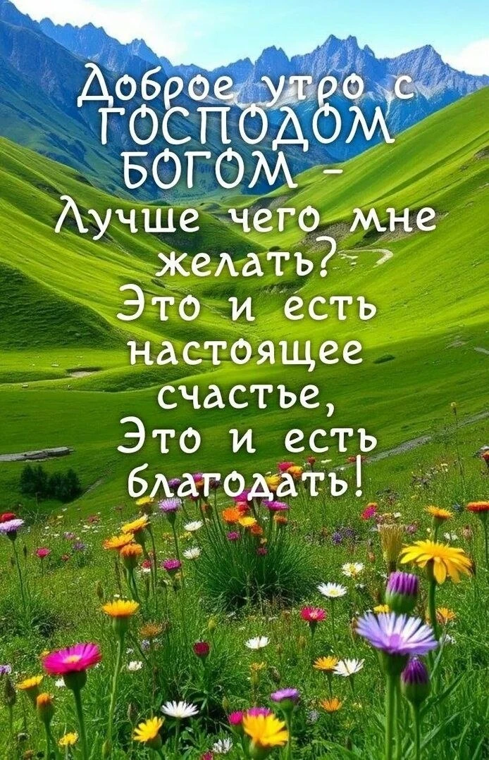 🌿🌼🕊🌿🌼🕊🌿🌼🕊🌿