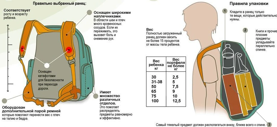 Важным аспектом является выбор ранца или ученического портфеля, соответствующего требов...