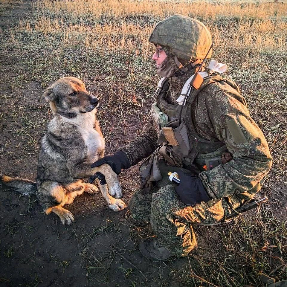 «Всё короче становятся дни, холоднее...»