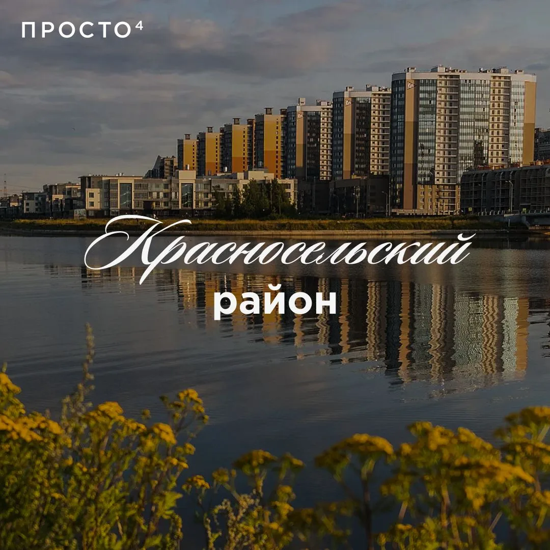 🔍ЧЕСТНЫЙ ОБЗОР: КРАСНОСЕЛЬСКИЙ РАЙОН

Красносельский — пятый по величине и один из самых зелёных и 