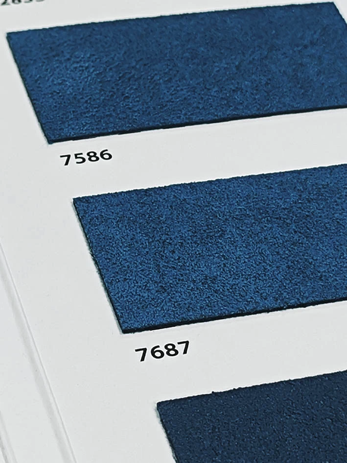 7687, ИЗ СЕМЬИ СИНИХ