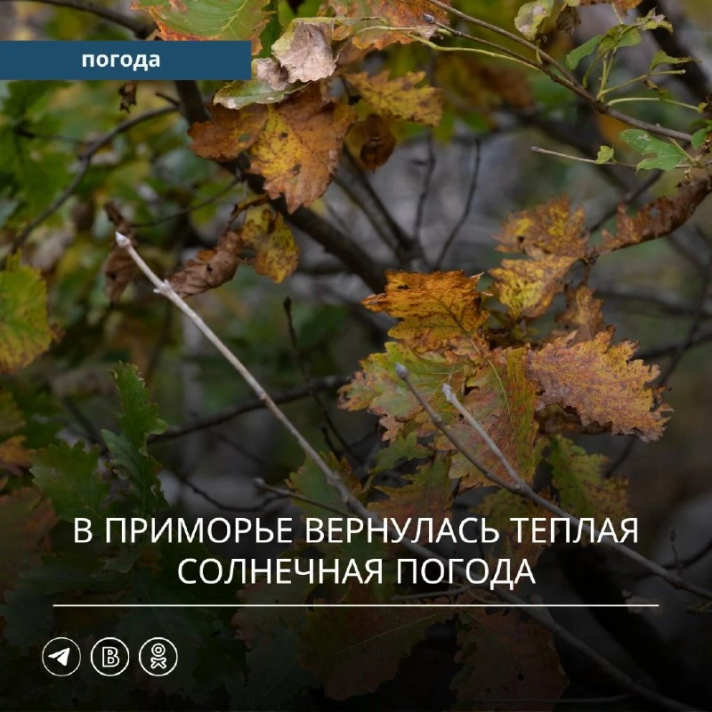 🌧️ Циклон ушёл: Приморье ждёт потепление до +21 °C