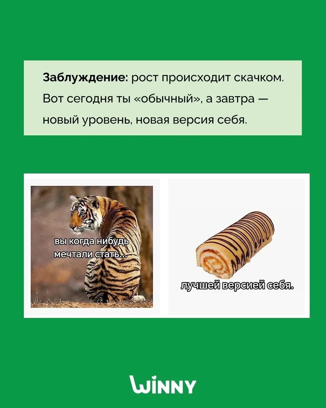 Winny рассказал о заблуждении, в которое верят многие.