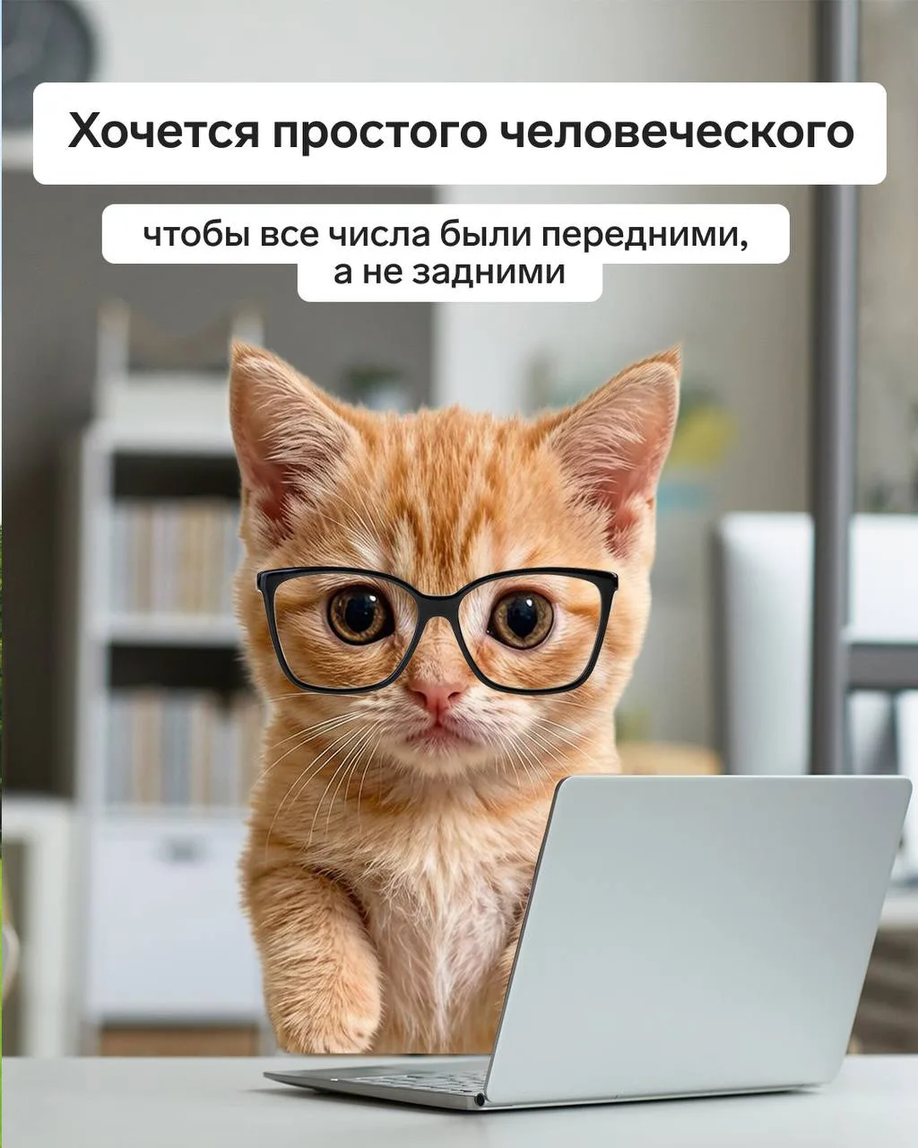 Бухгалтеру не нужно многого. Свой маленький остров без связи подойдет!