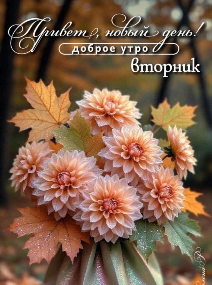 Делитесь открыткой с друзьями и поддерживайте реакцией