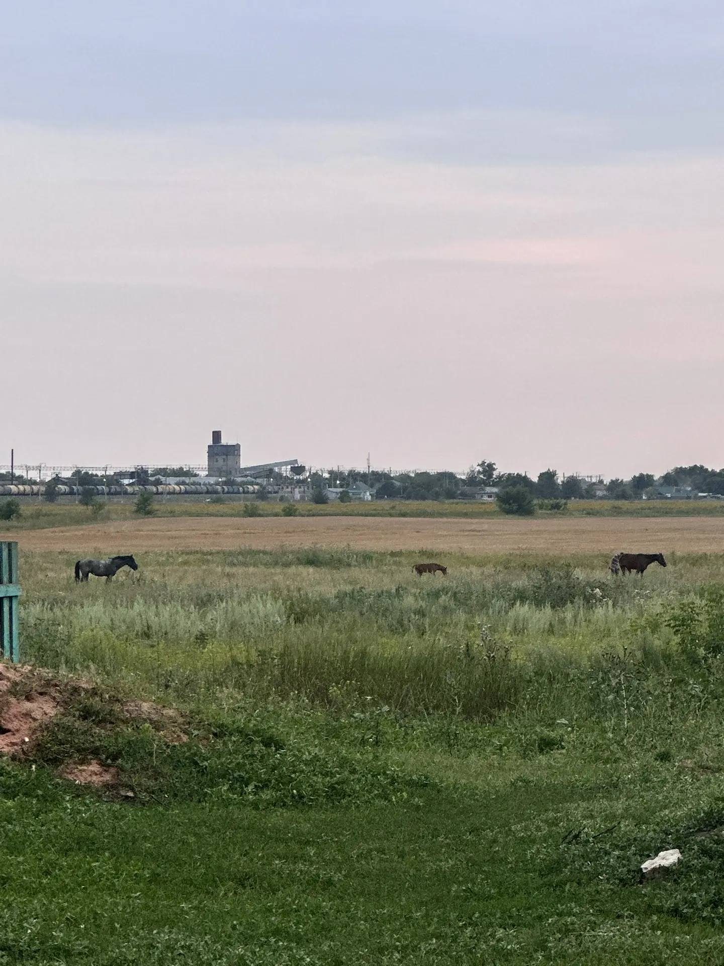 С Танюшкой на выходных ходили по нашим тропам детства-вспоминали,как бегали здесь.