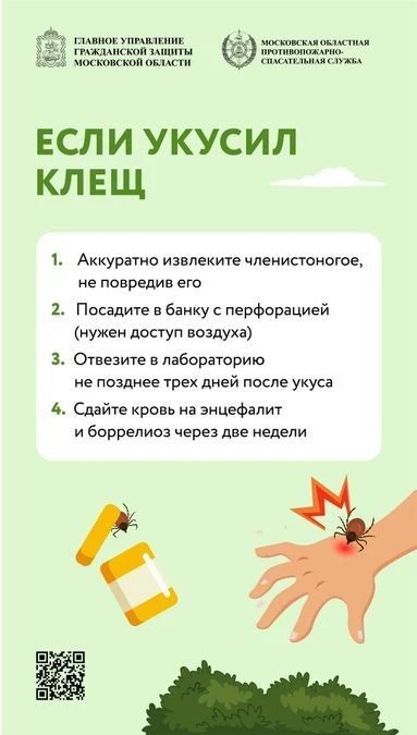 ☀️ Май радует жителей Подмосковья по-настоящему теплой и солнечной погодой – дома не усидеть, так и 