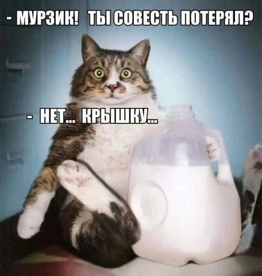 Когда потерял совесть😆