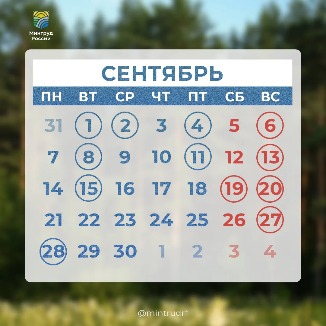 #PROДень: профессиональные праздники сентября