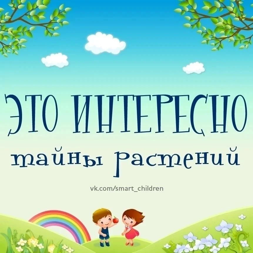 Знакомимся  с тайными  растений