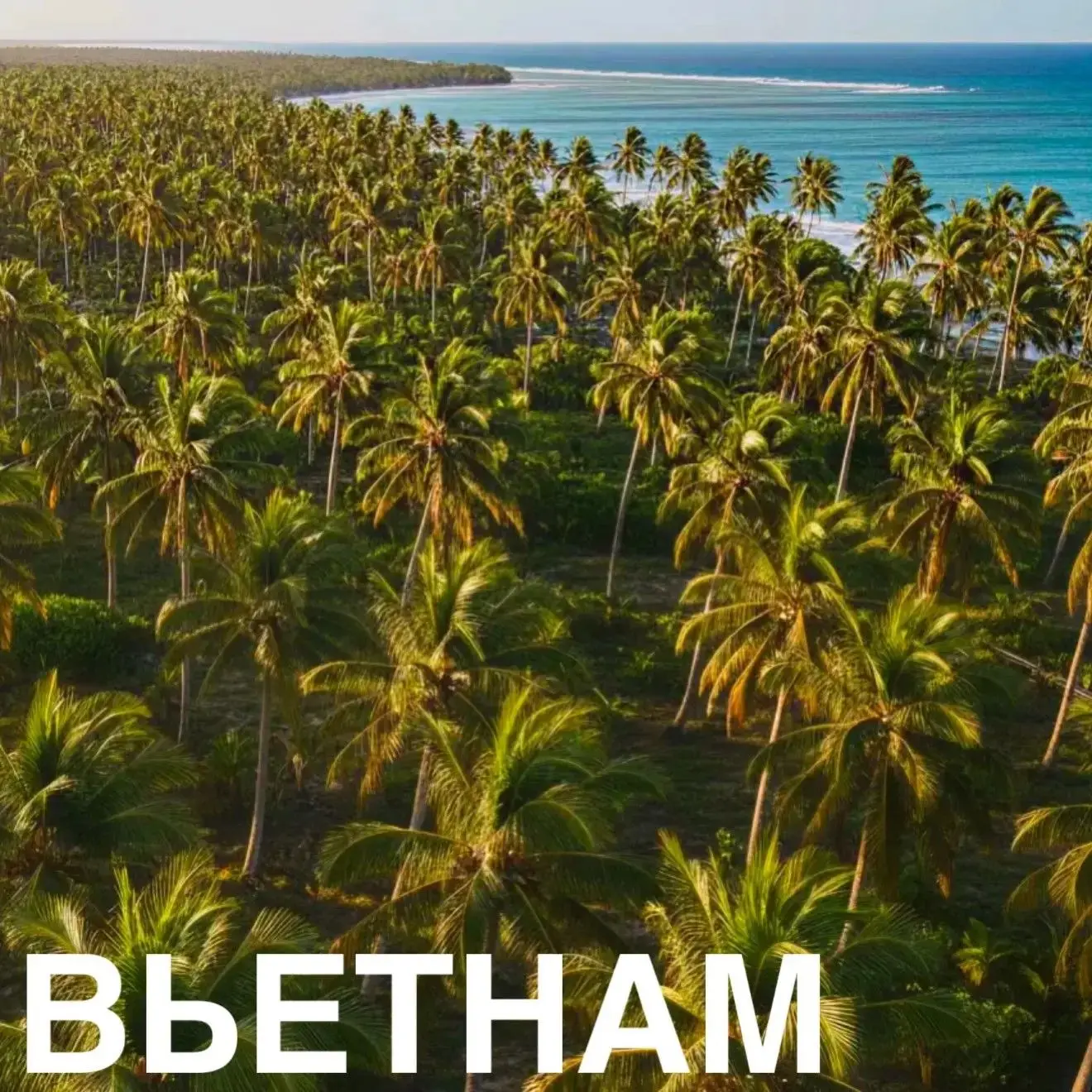 Встречаем Новый 2027 год в тропиках🌴