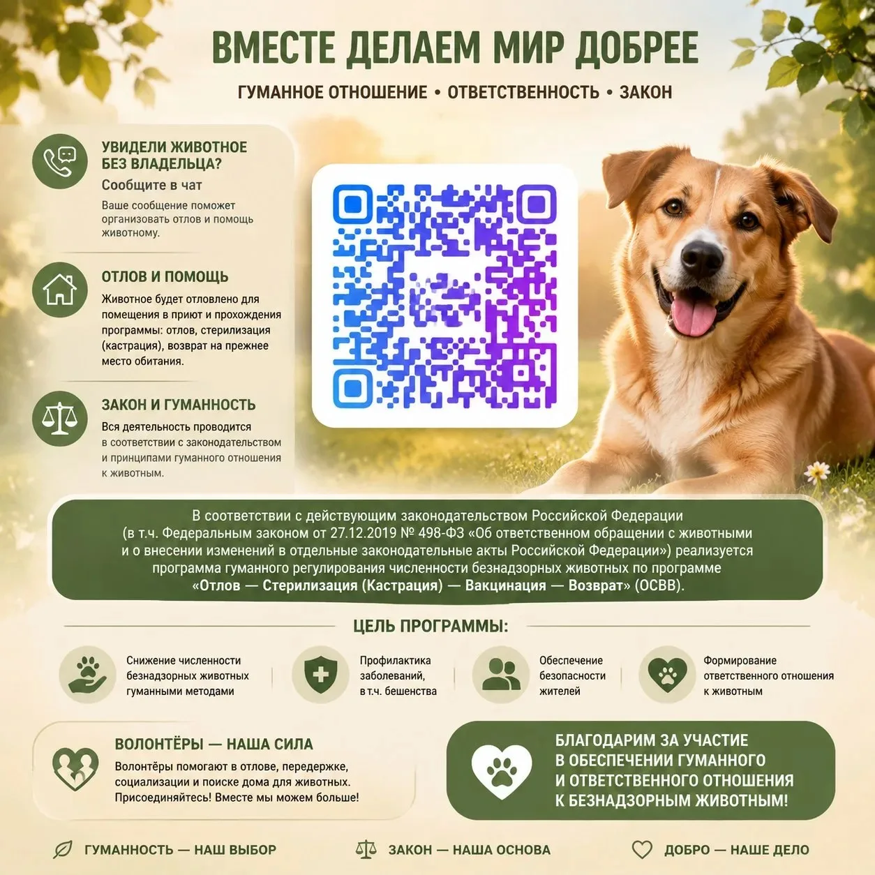 Информационный чат по животным без владельцев  Что можно сделать в чате: Сообщить о животном без вла