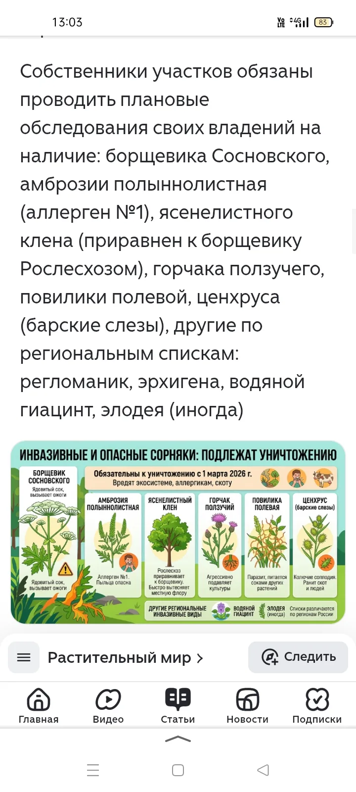 Медиа публикации
