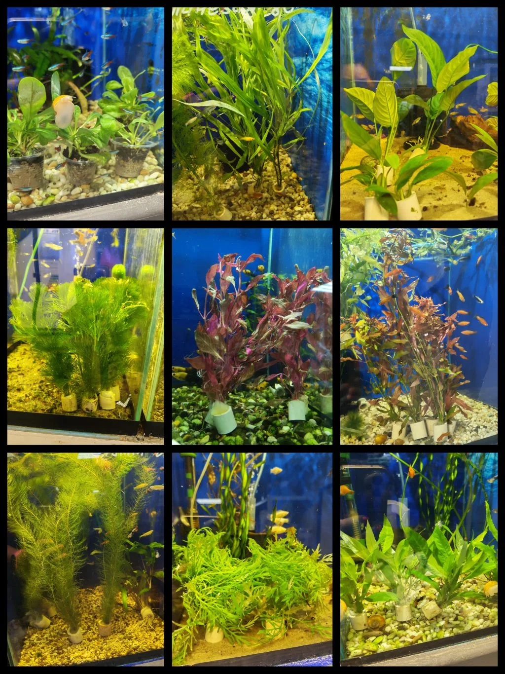Фото