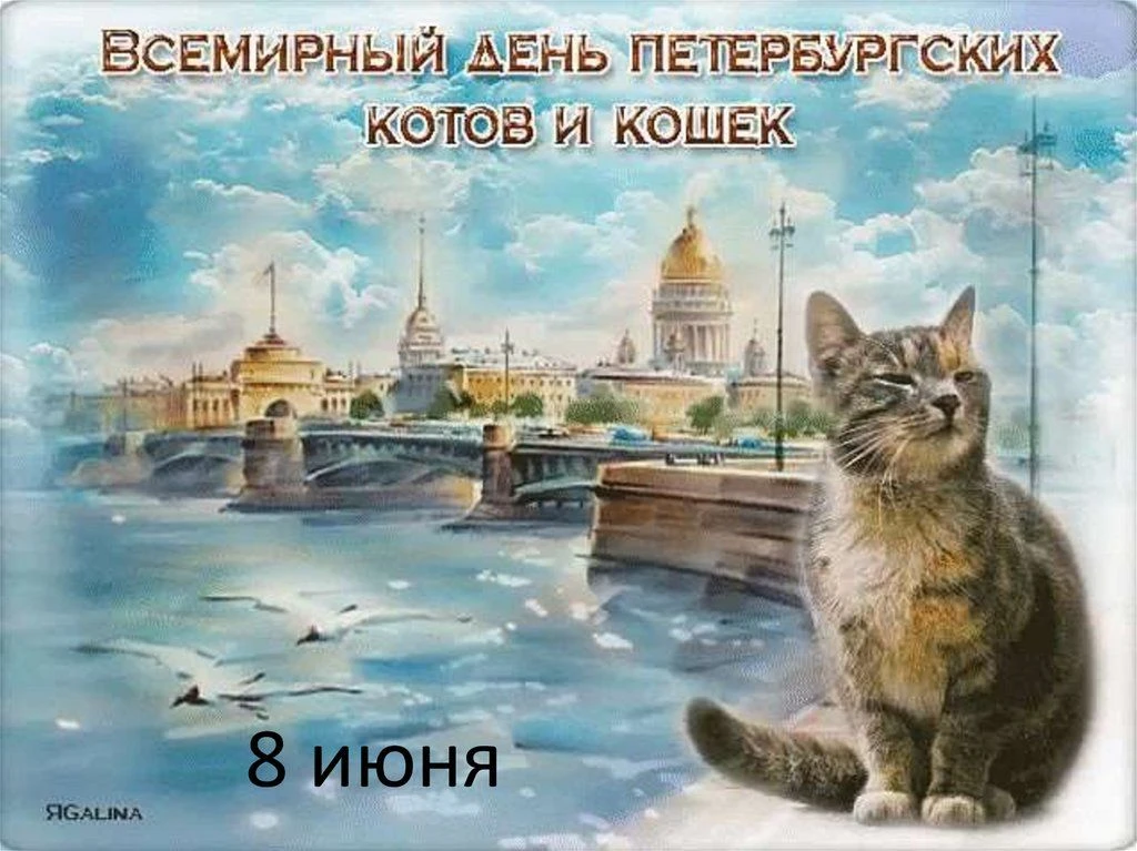 8 июня в Санкт‑Петербурге отмечают необычный праздник — День петербургских котов и коше...