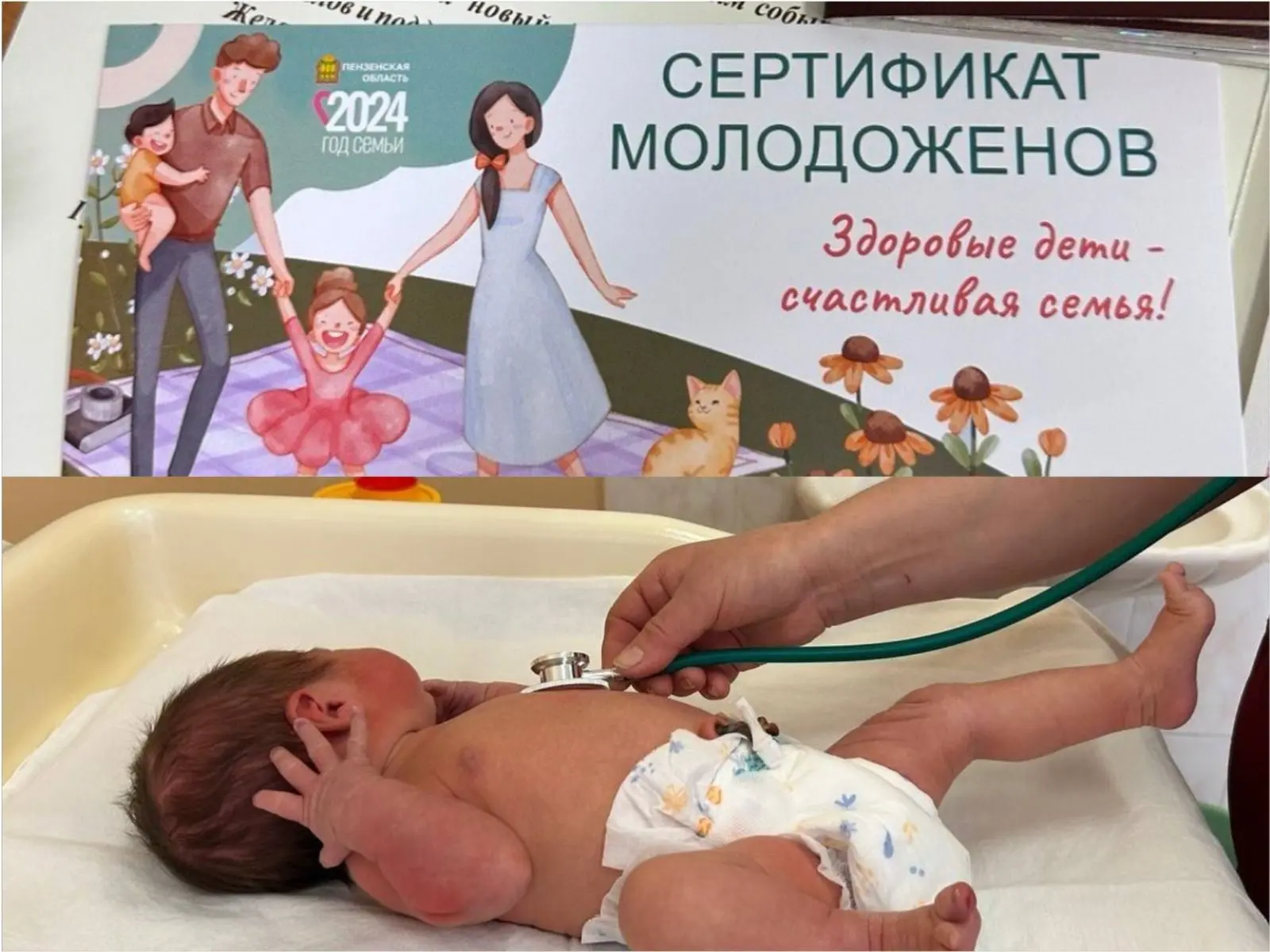 Более 200 новобрачных прошли обследование по «Сертификату здоровья молодоженов» в 2026 году
 
Благод