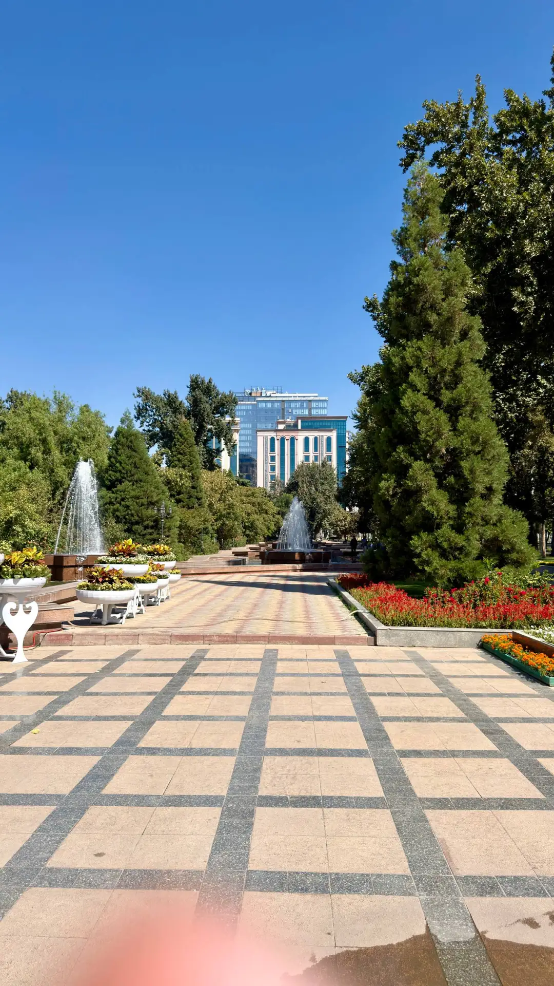 🇹🇯 Душанбе, ты меня сегодня сильно удивил!