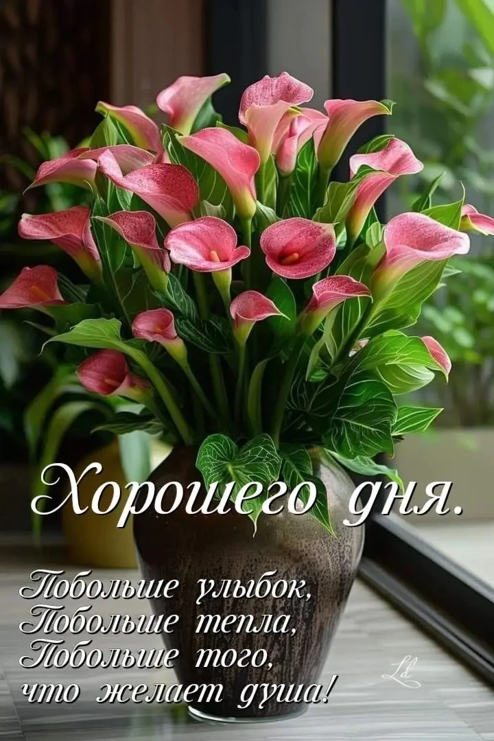 Изображение 1 к публикации «Вам открытка»
