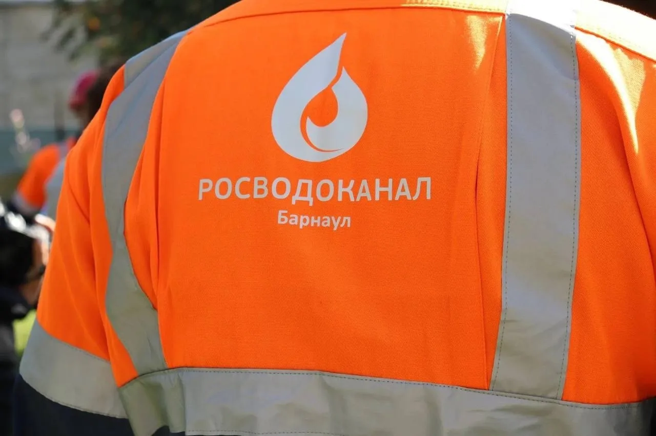 Специалисты почистят канализацию в районе Барнаулки после жалоб на зловоние.