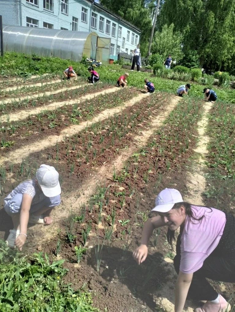 Лето в лагере — это не только игры и отдых, но и время для добрых дел! 💪🌿

У нас в лагере есть зам