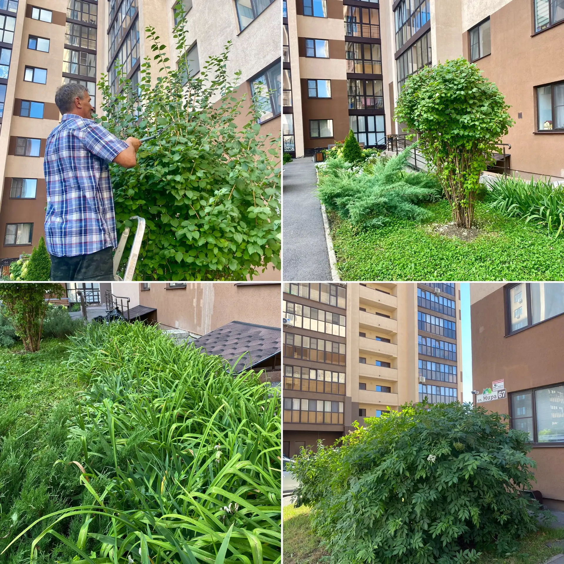🧑🏻‍🔧 Ежедневно сотрудники управляющей компании проводят не только работы по благоуст...
