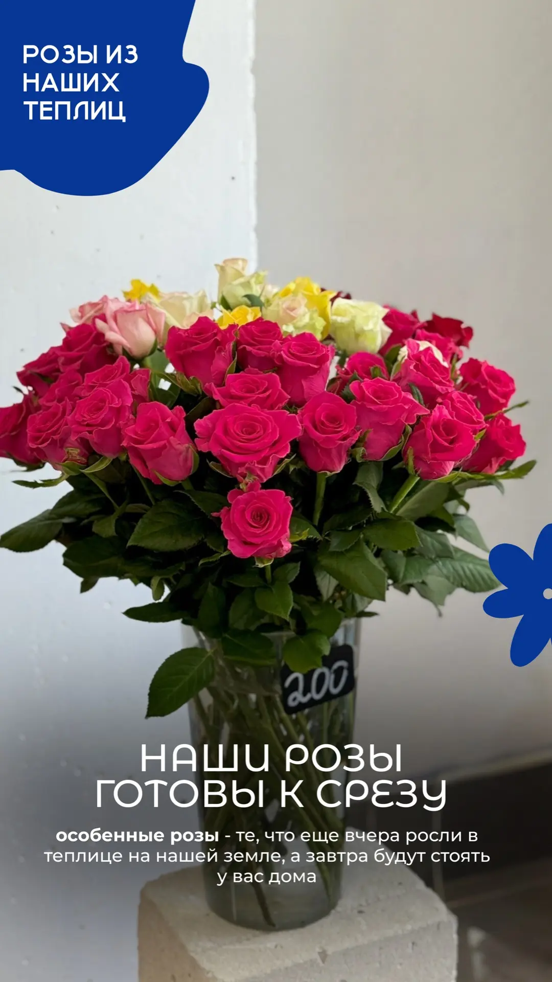 Ура 🥳 Начался срез!