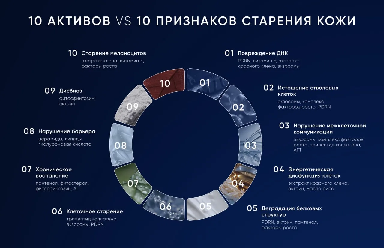 Разбор состава 🔬