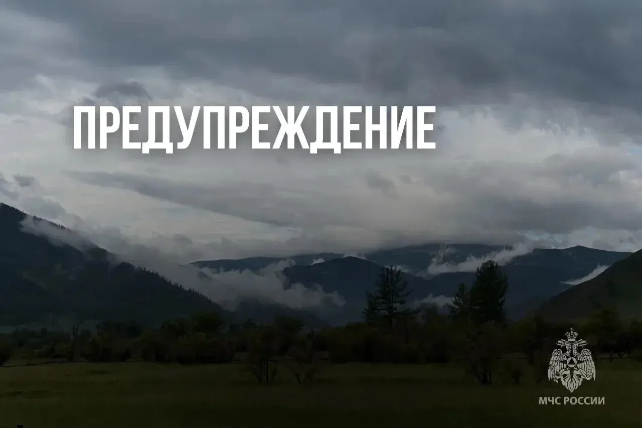‼️  Внимание