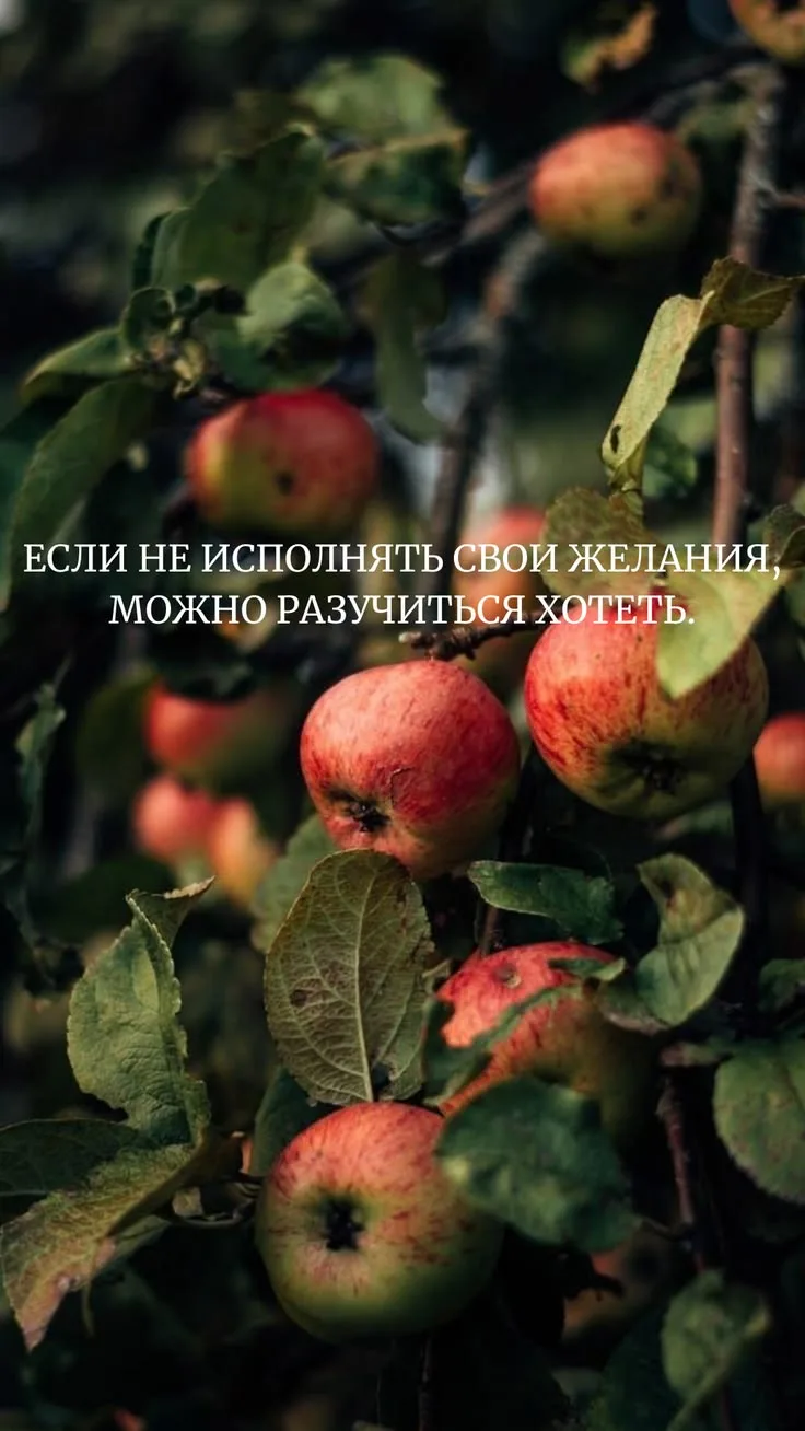 Доброе утро, друзья 😍