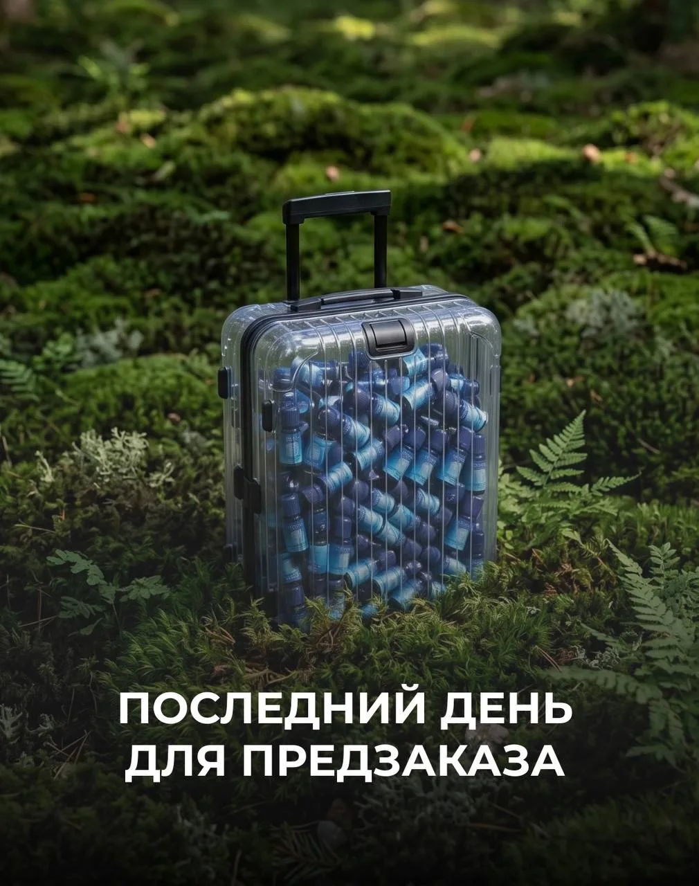‼️СЕГОДНЯ ПОСЛЕДНИЙ ДЕНЬ ПРЕДЗАКАЗА СО СКИДКОЙ 20%