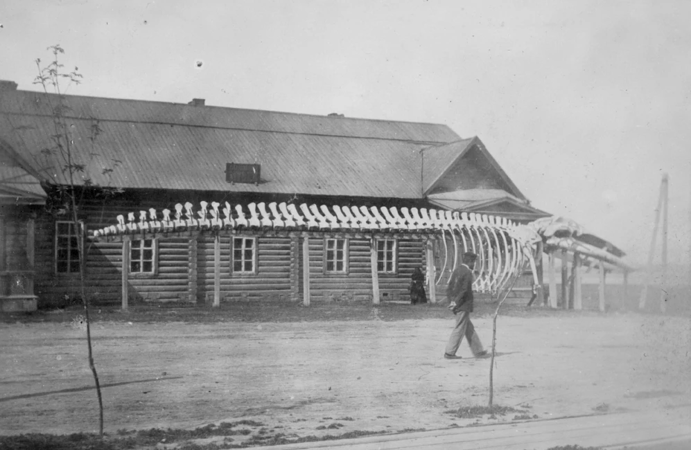ПЕРВЫЙ МУЗЕЙ. 
К 130-ЛЕТИЮ МУЗЕЙНОГО ДЕЛА В САХАЛИНСКОЙ ОБЛАСТИ

Первый музей на Сахалине был официа