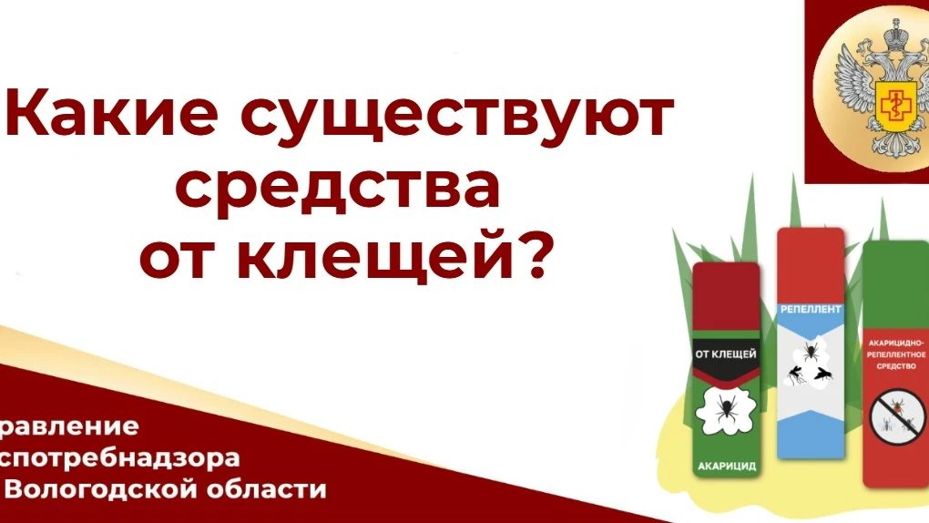 В теплое время года вологжане устремляются на природу: в лес, на дачу, в парк. Но в лет...