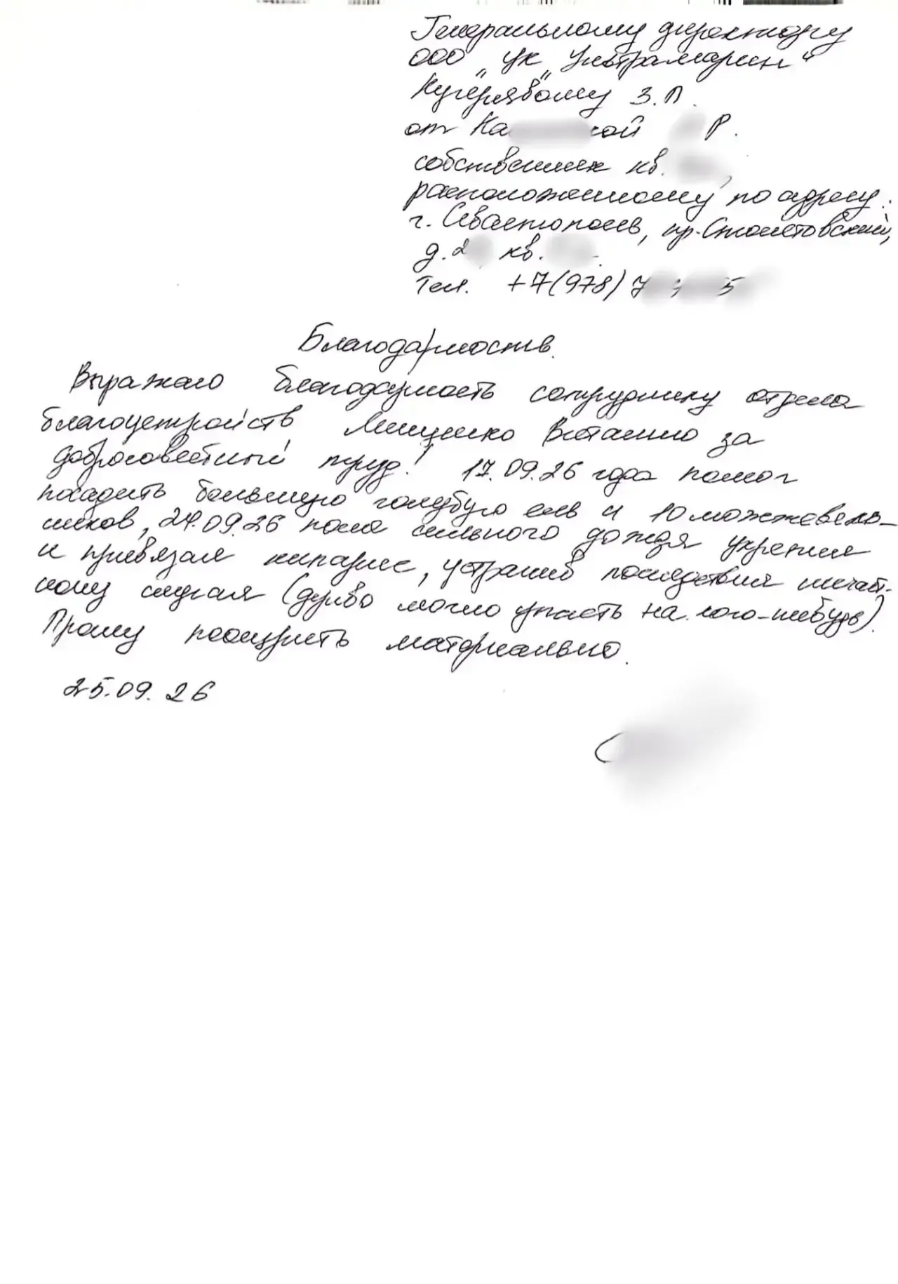 Спасибо за ваши отзывы! Нам очень приятно, что вы цените наш труд!