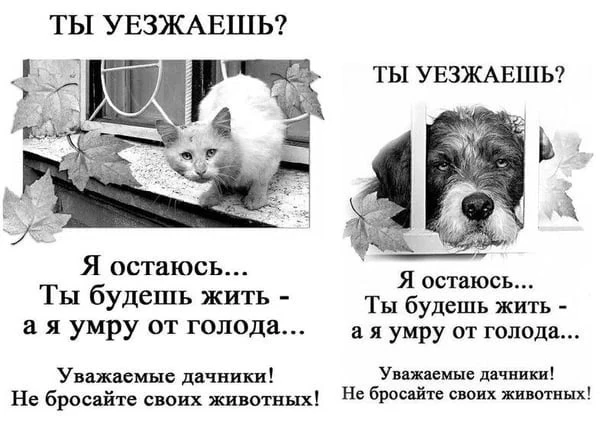 ПРЕДАТЕЛЬСТВО....