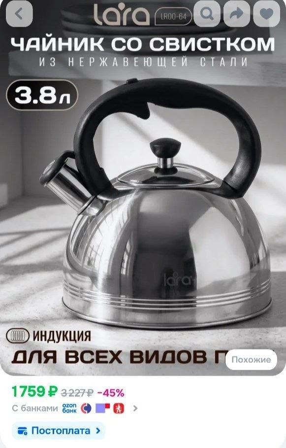 Большой чайник со свистком 3,8л LARA для газовой плиты, из нержавеющей стали, для всех видов плит, д