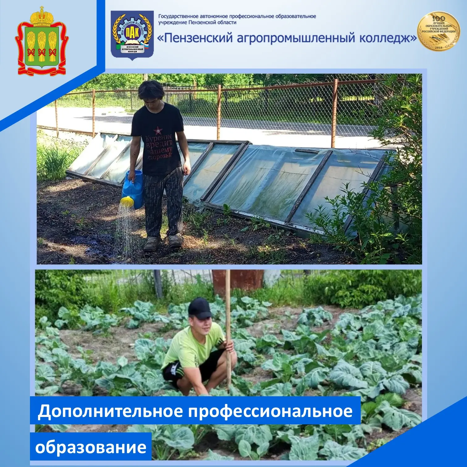 Овощевод в агропромышленном колледже — это не просто работа в поле, а настоящее зелёное ремесло: вы 