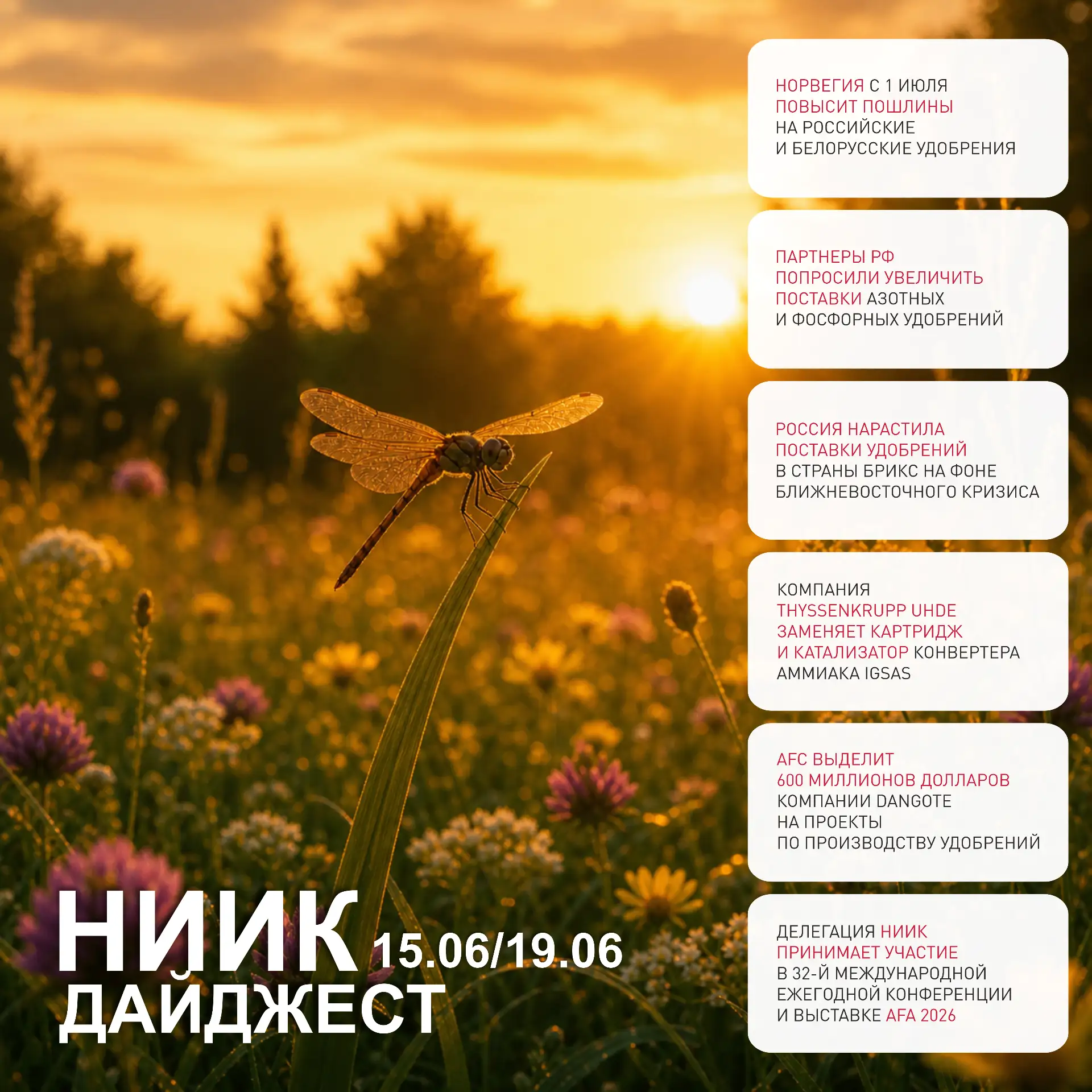 #ДАЙДЖЕСТ_НИИК 

☀️21 июня наступит летнее солнцестояние — момент, когда Северное полушарие сильнее 