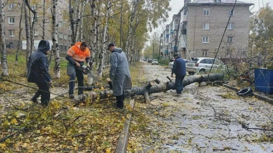 🌀 Аварийные бригады ликвидируют последствия тайфуна «Джеби»