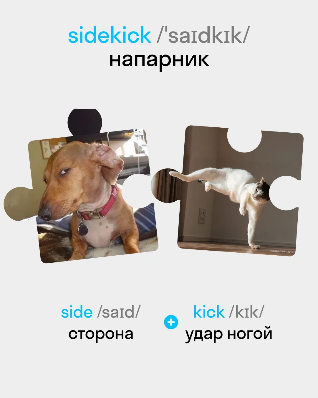 Докапываться до кого-то? А может, лучше ковырять гнид? 🥲