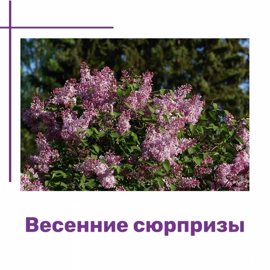 На днях меня буквально "дожали" на телефонную консультацию. Сначала довольно упорно отказывался: зао